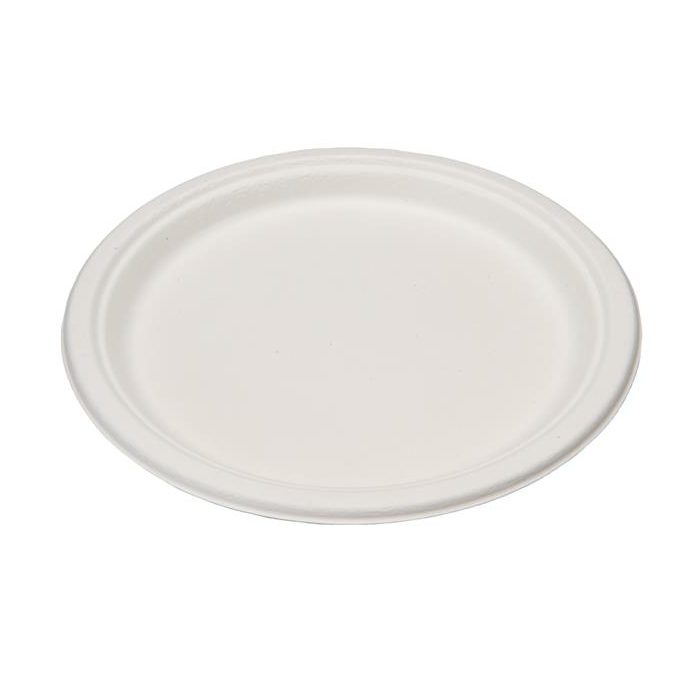 EP-010P Eco-Packaging 10'' Sugarcane Plate 500/cs