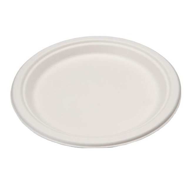 EP-013P Eco-Packaging 9" Sugar Cane Plate 500/cs