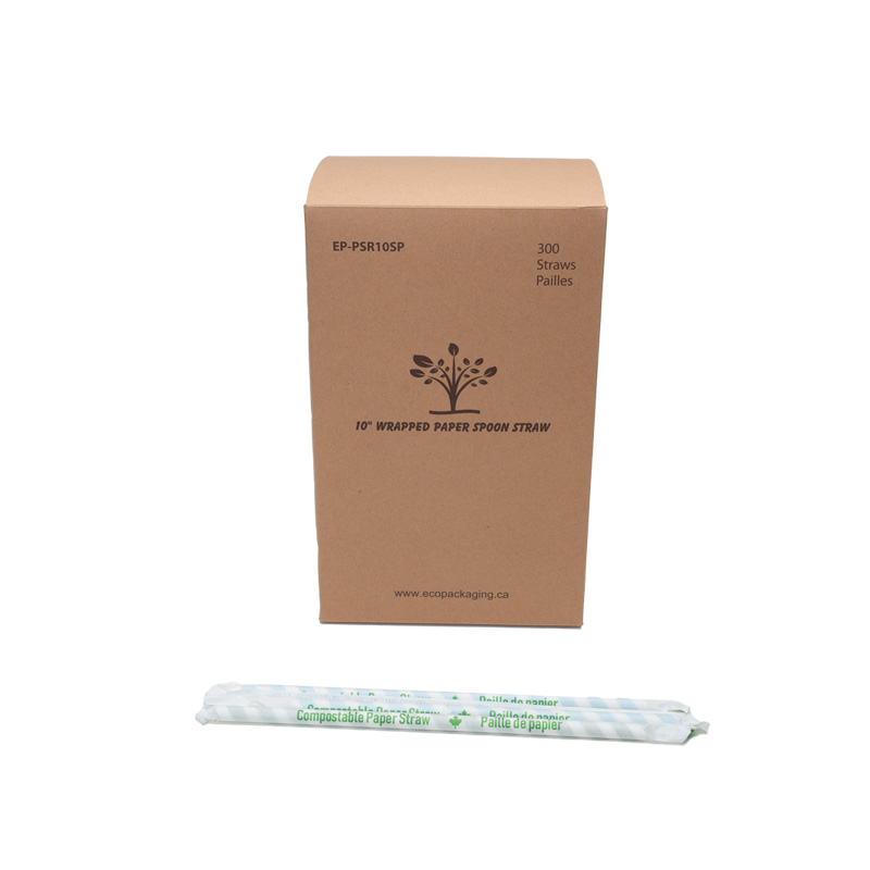 EP-PSR10SP#B Eco-Packaging 10"  Paper Spoon Straw assorted colour  300/bx