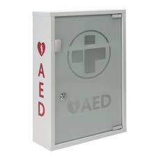 IS-3098 AED Cabinet with Alarmed Door