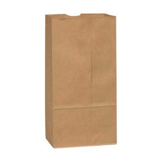 [R3-28590800] R3-28590800 20LB Kraft Bag HEAVY 8 3/16 X 5 1/16 X 15 7/8-500 /cs